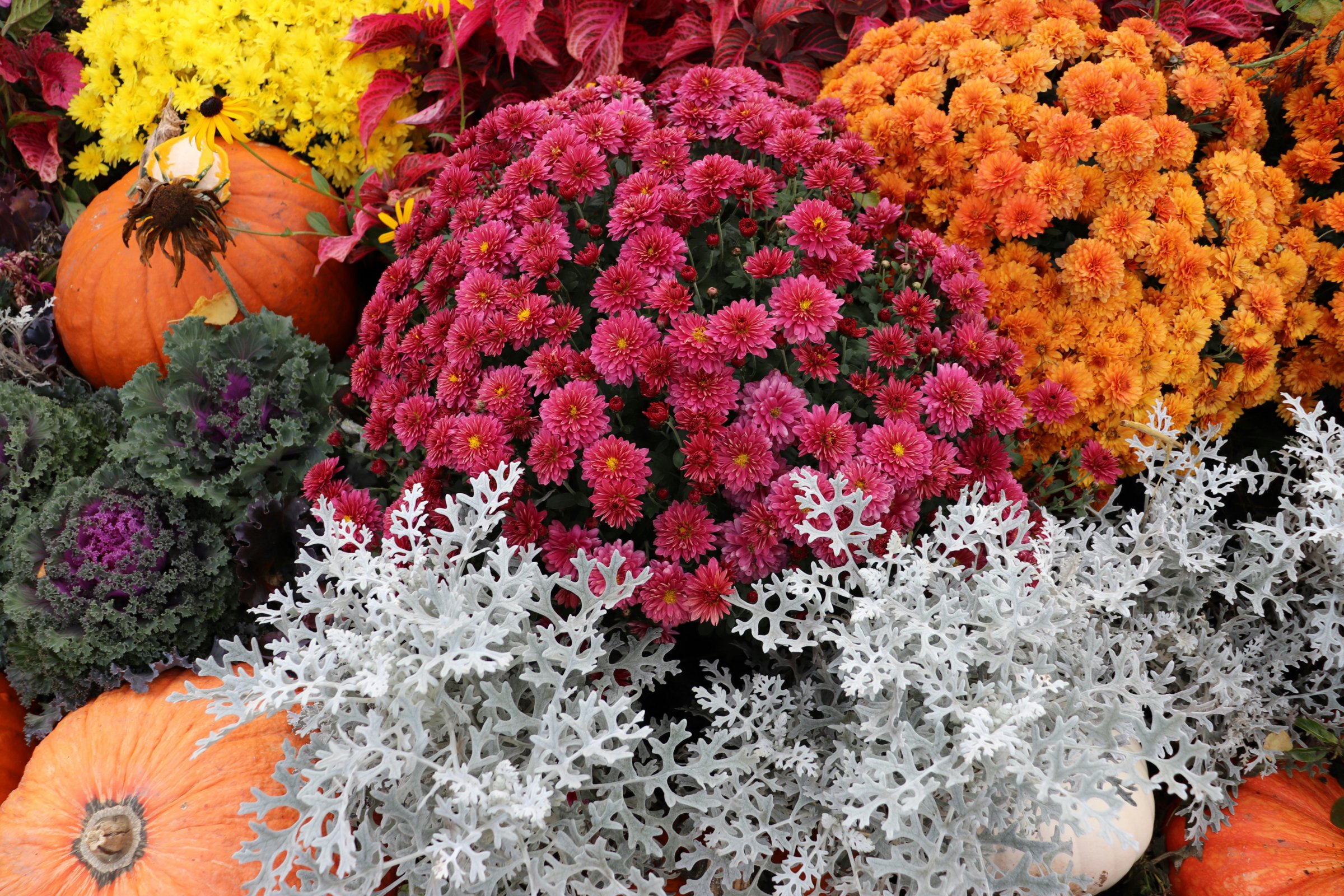 Northern VA Wholesale Growers Market 8.29